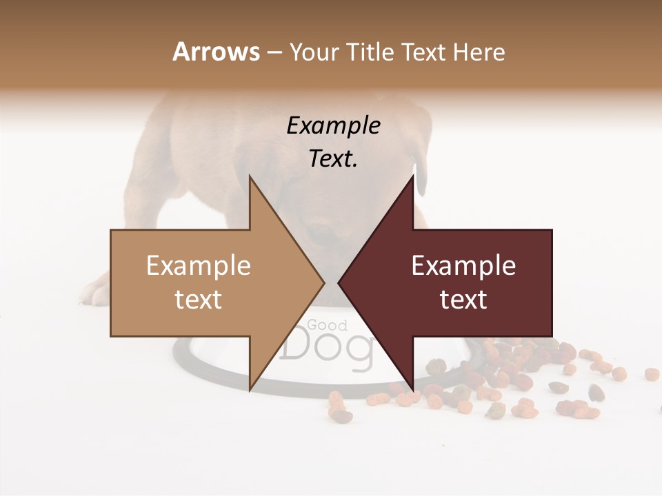 Togetherness White Background Women PowerPoint Template