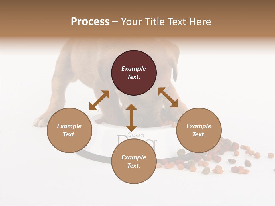 Togetherness White Background Women PowerPoint Template