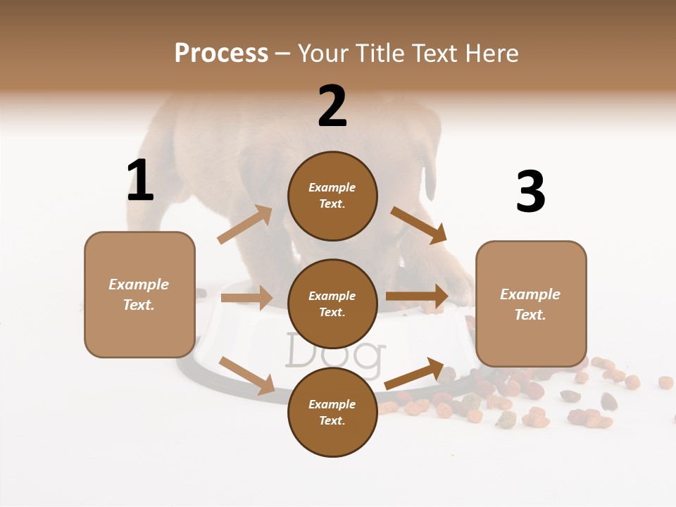 Togetherness White Background Women PowerPoint Template