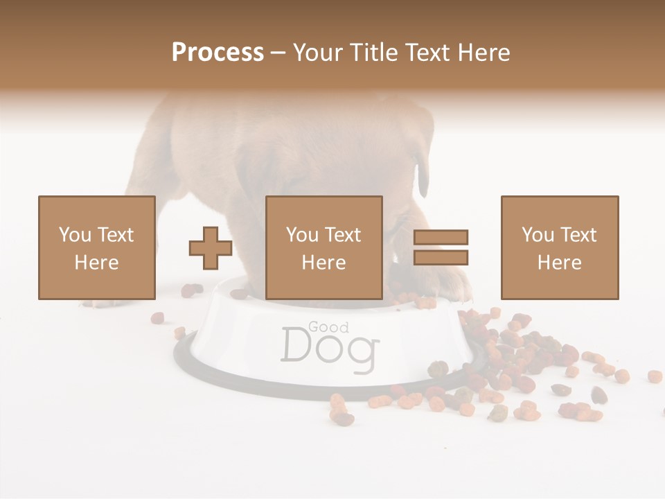 Togetherness White Background Women PowerPoint Template