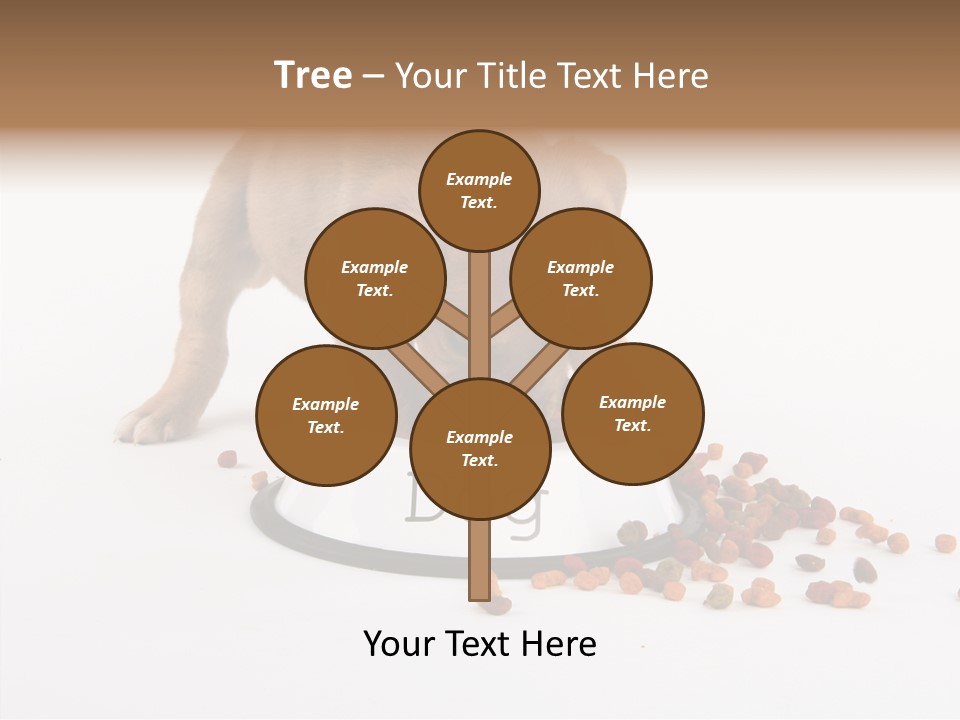 Togetherness White Background Women PowerPoint Template