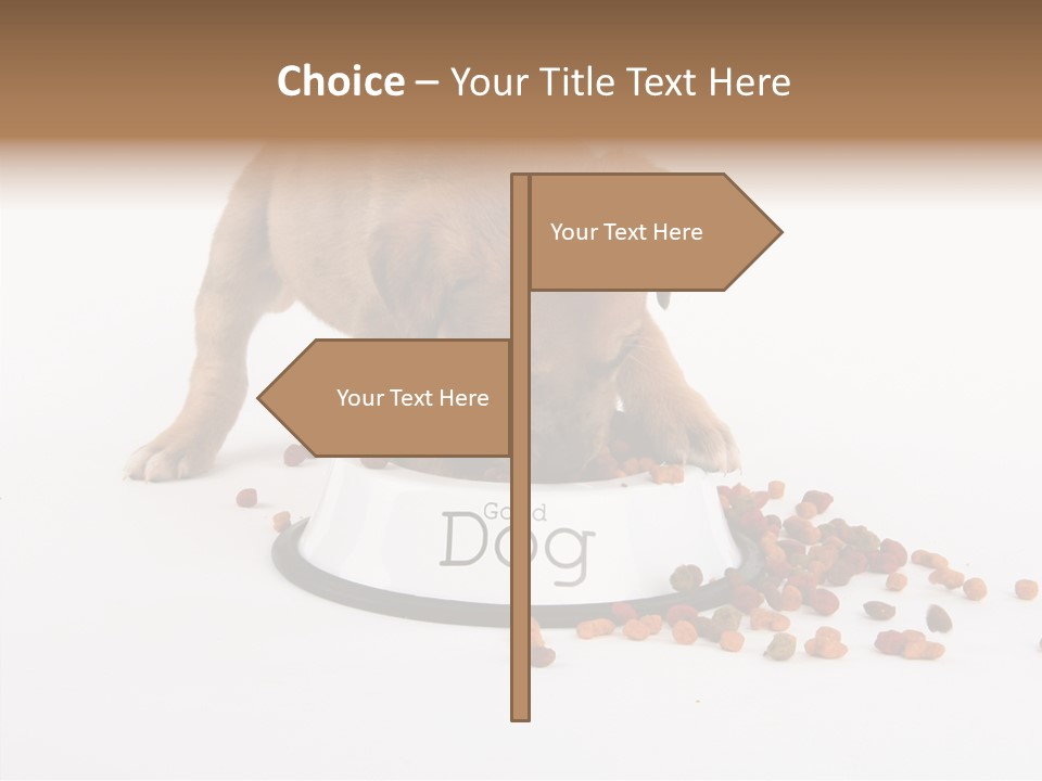 Togetherness White Background Women PowerPoint Template