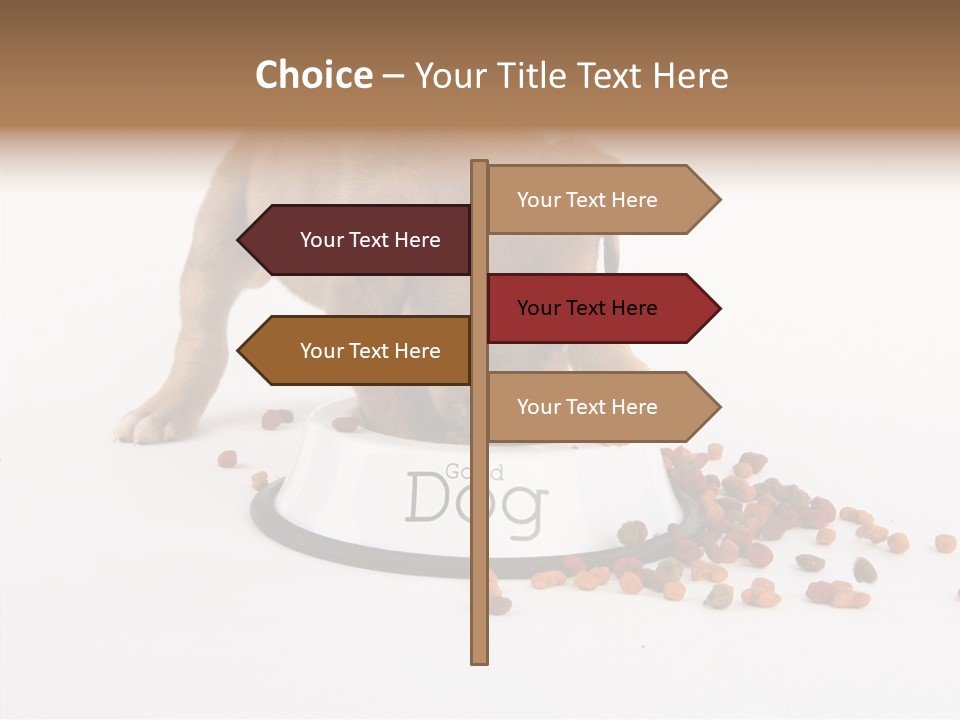 Togetherness White Background Women PowerPoint Template