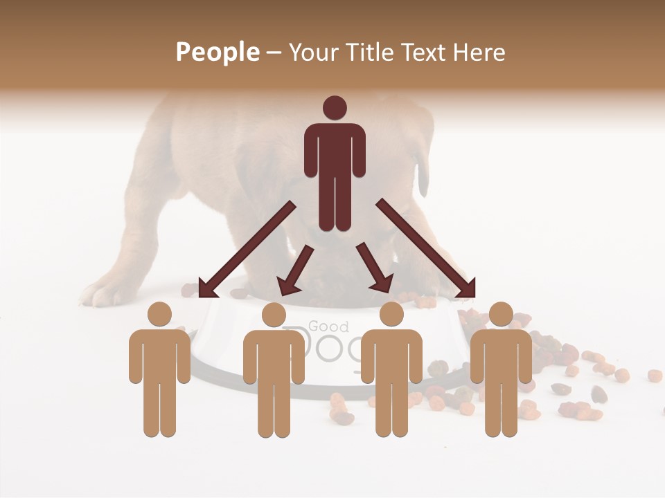 Togetherness White Background Women PowerPoint Template