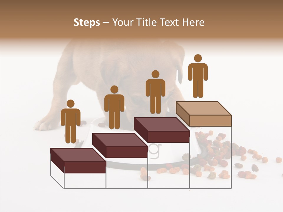 Togetherness White Background Women PowerPoint Template