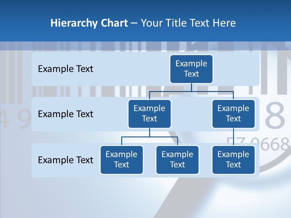 Senior  Women Senior PowerPoint Template