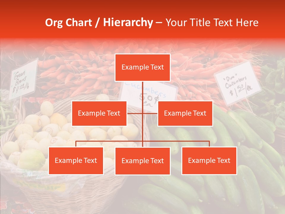 Senior  Female Touching PowerPoint Template