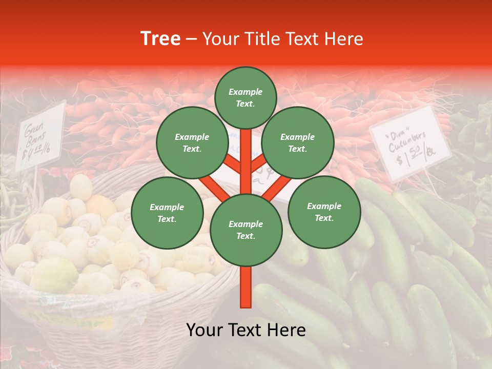 Senior  Female Touching PowerPoint Template