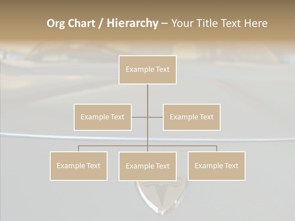 Female Caregiver Sharing PowerPoint Template