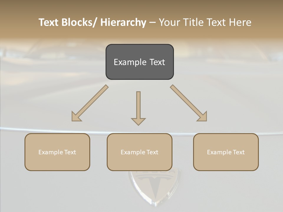 Female Caregiver Sharing PowerPoint Template