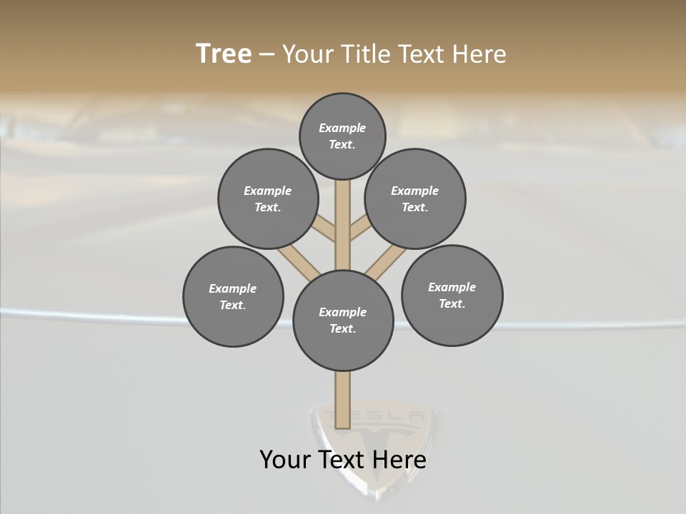 Female Caregiver Sharing PowerPoint Template