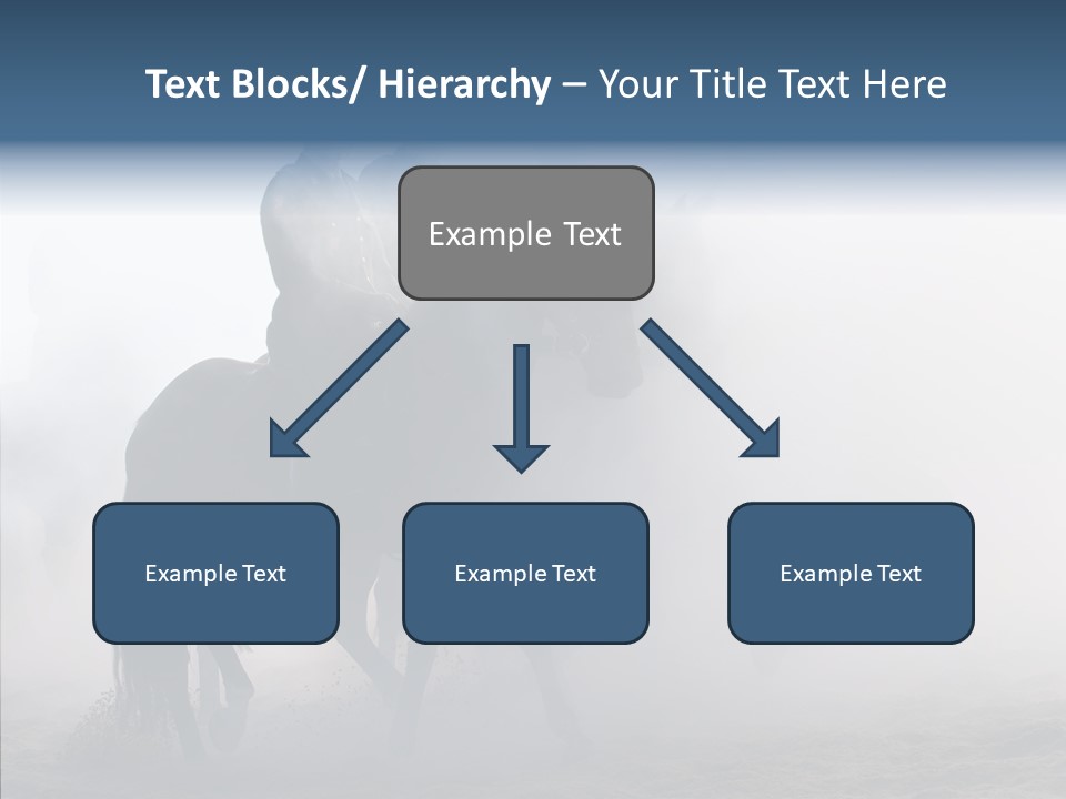 Women Senior Two PowerPoint Template