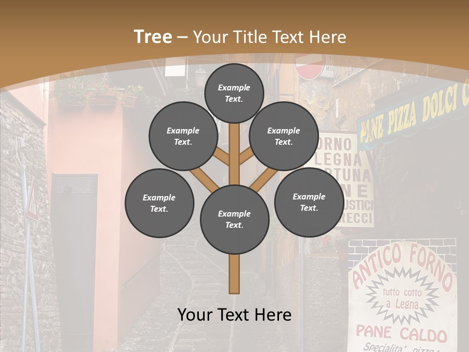 Female Aging Grandmother PowerPoint Template