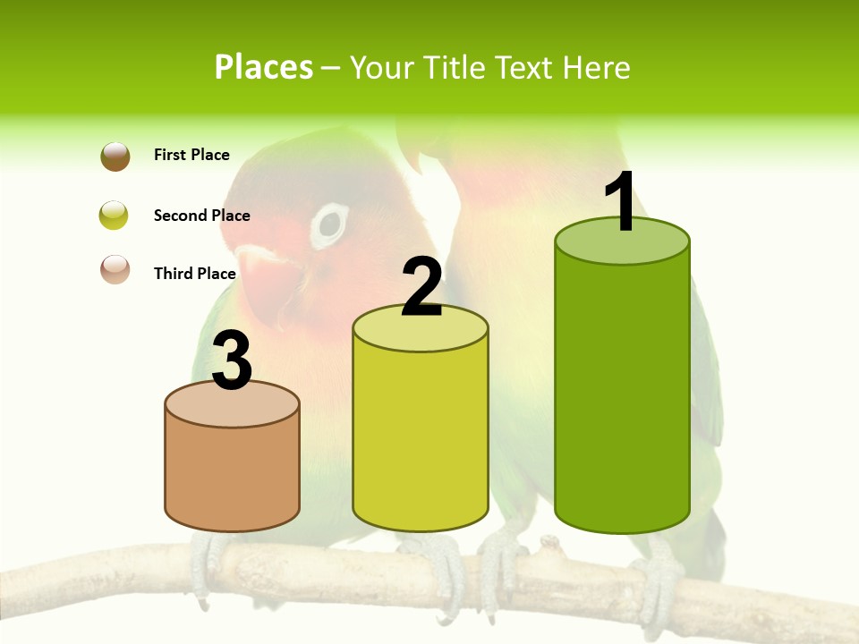 Female Elderly  PowerPoint Template