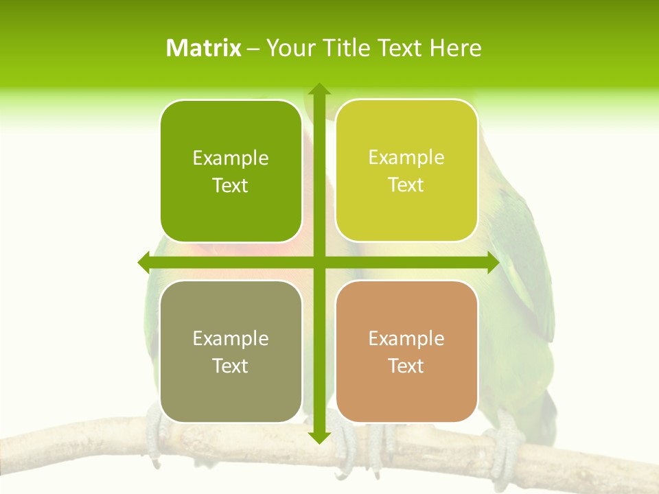 Female Elderly  PowerPoint Template