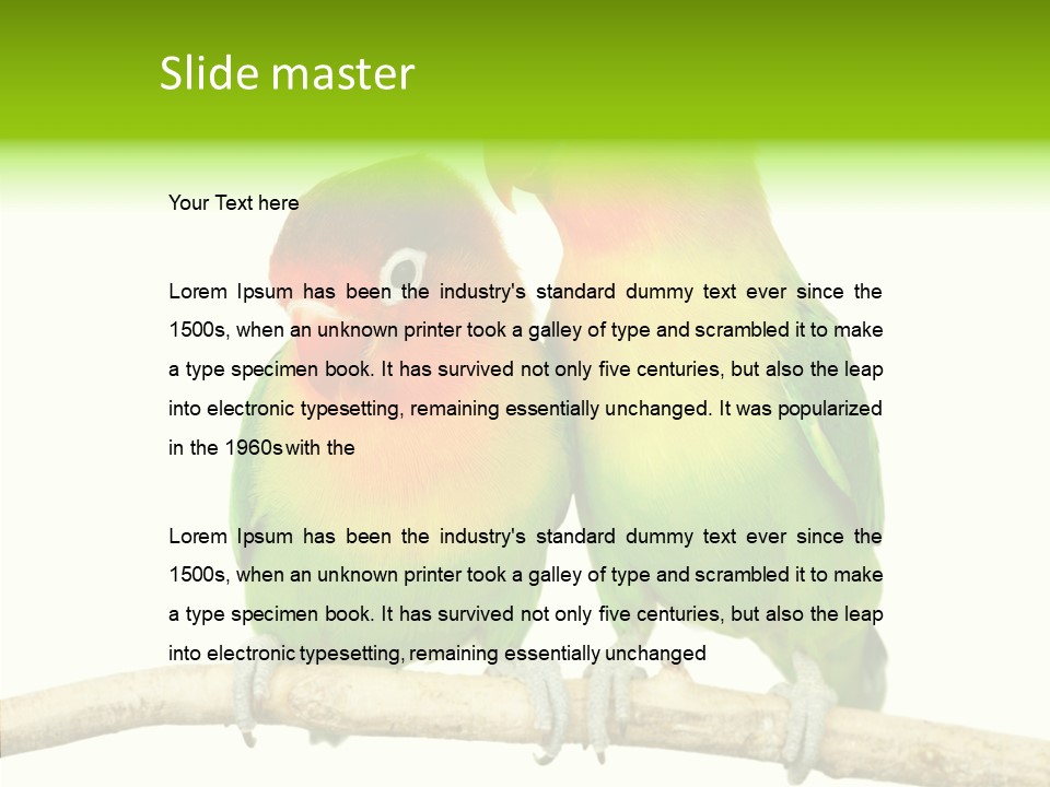 Female Elderly  PowerPoint Template