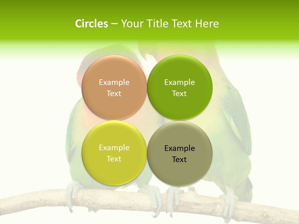 Female Elderly  PowerPoint Template