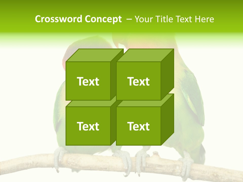 Female Elderly  PowerPoint Template