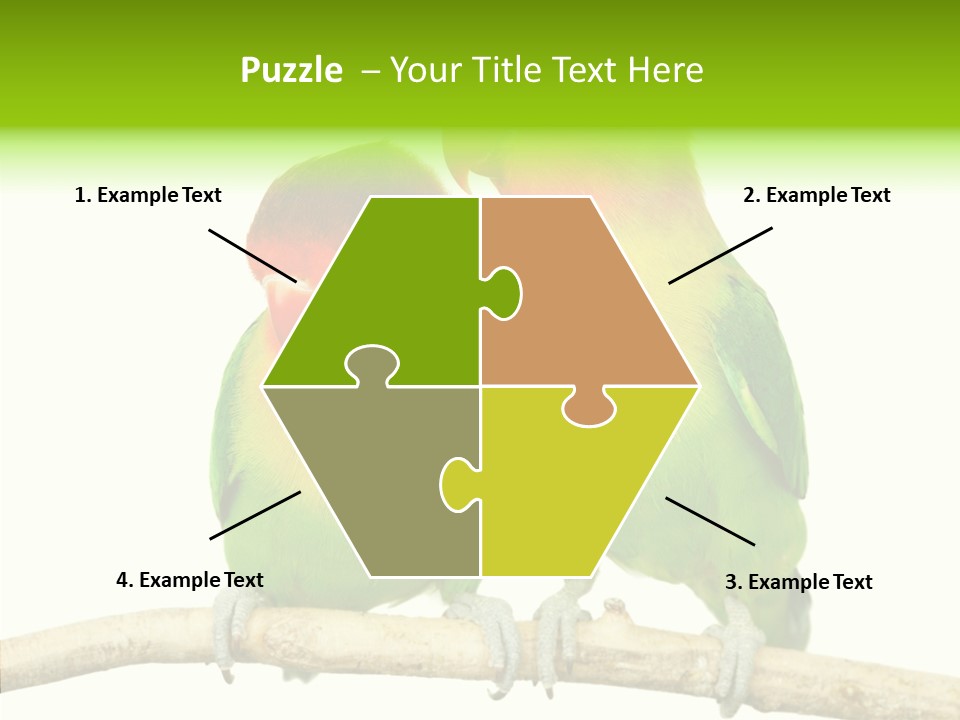 Female Elderly  PowerPoint Template