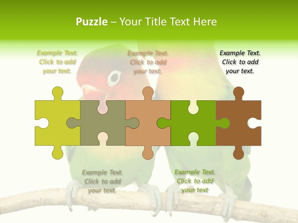 Female Elderly  PowerPoint Template