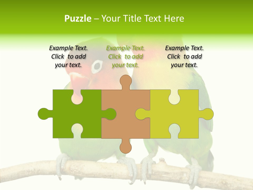 Female Elderly  PowerPoint Template