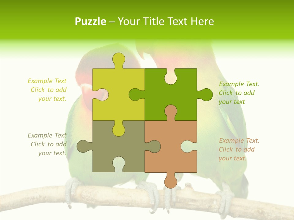 Female Elderly  PowerPoint Template