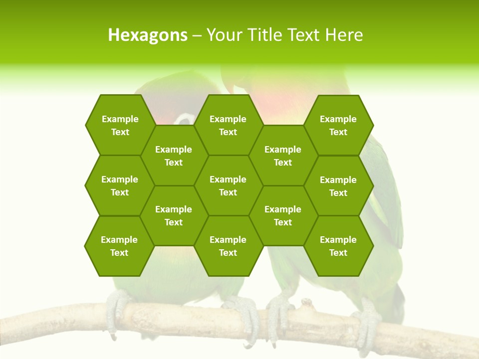 Female Elderly  PowerPoint Template