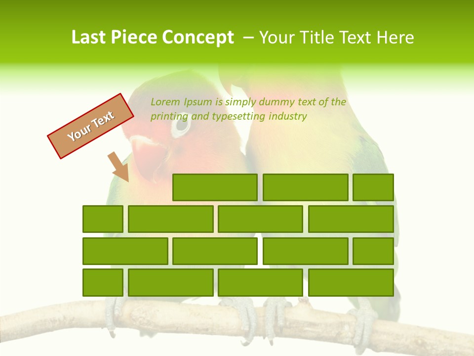 Female Elderly  PowerPoint Template