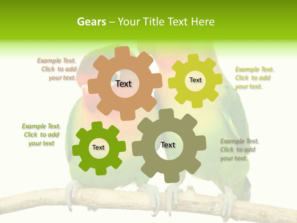 Female Elderly  PowerPoint Template