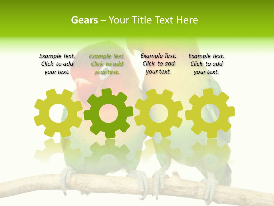 Female Elderly  PowerPoint Template