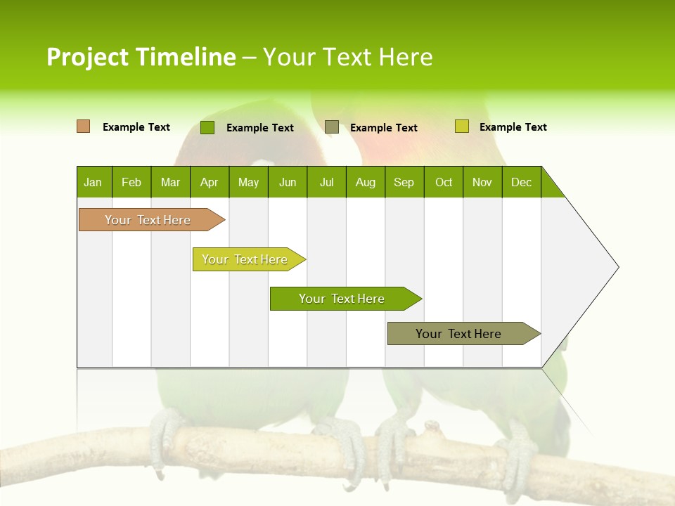 Female Elderly  PowerPoint Template