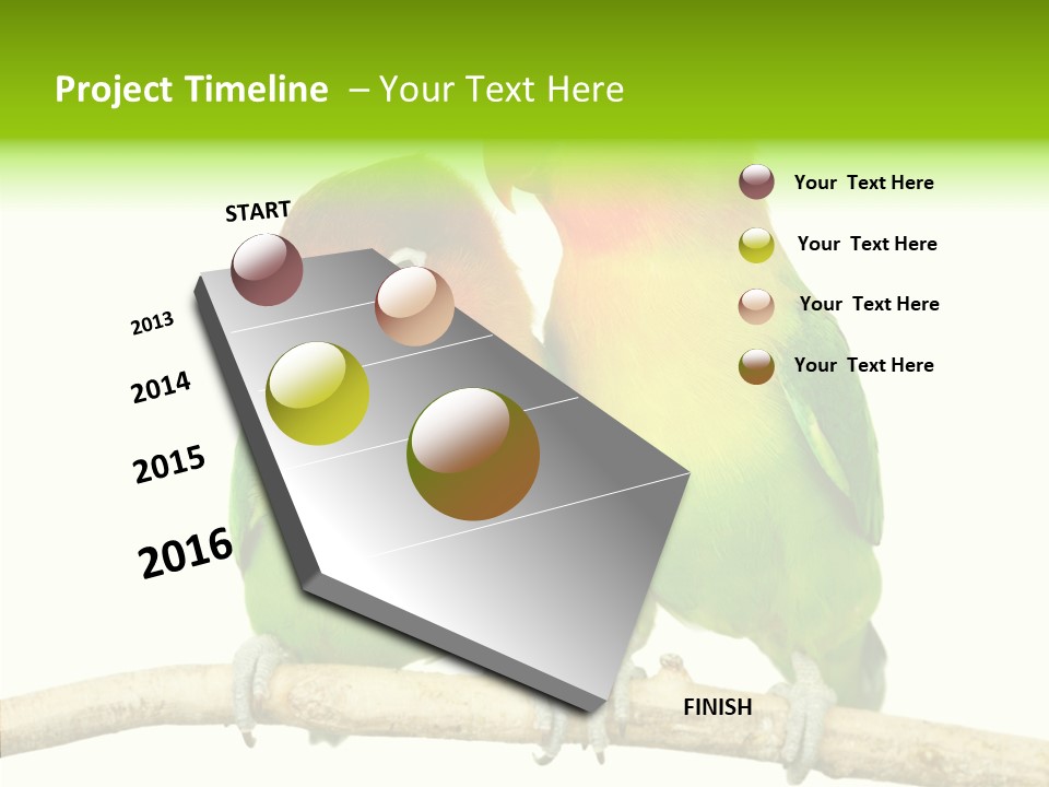 Female Elderly  PowerPoint Template