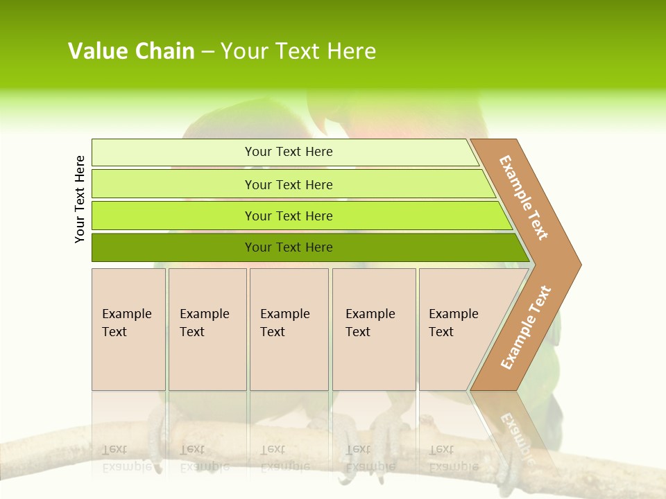 Female Elderly  PowerPoint Template
