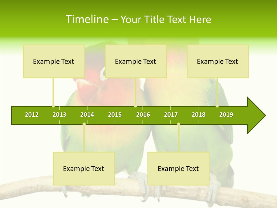 Female Elderly  PowerPoint Template