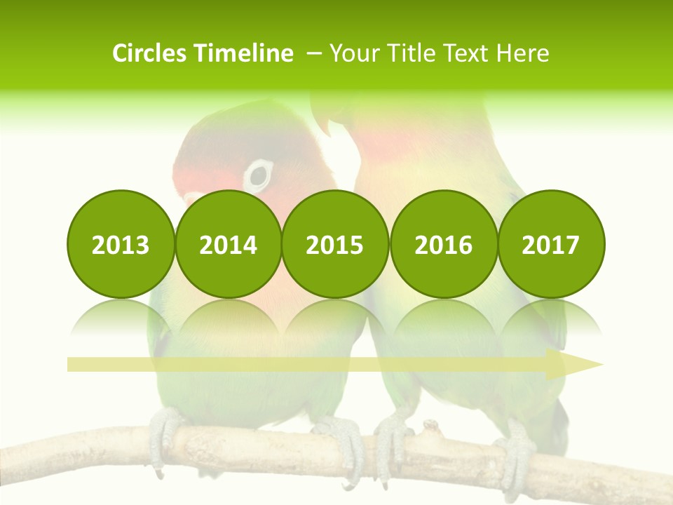 Female Elderly  PowerPoint Template