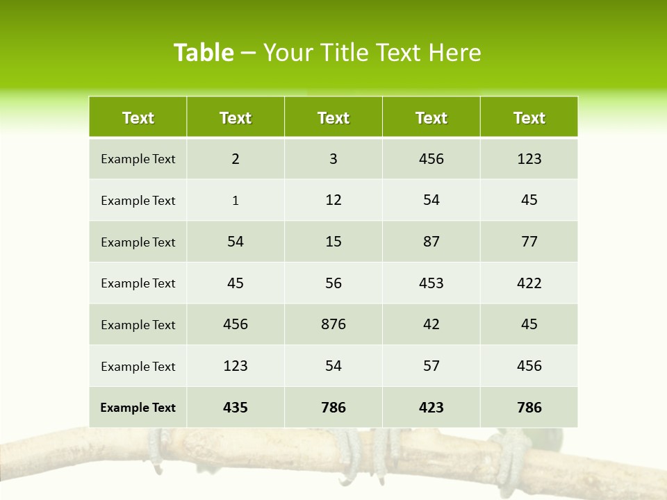 Female Elderly  PowerPoint Template