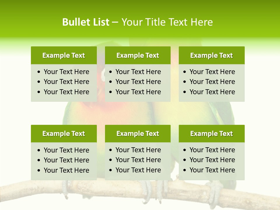 Female Elderly  PowerPoint Template