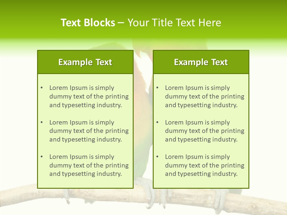 Female Elderly  PowerPoint Template