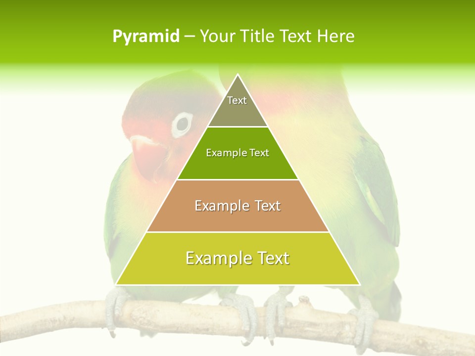 Female Elderly  PowerPoint Template