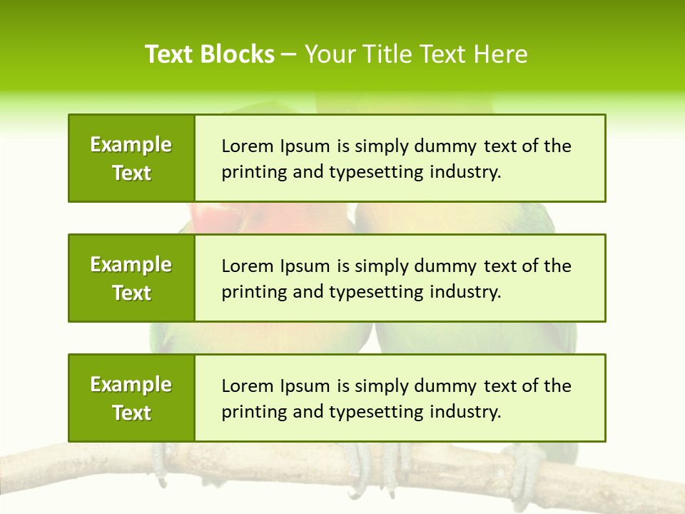 Female Elderly  PowerPoint Template