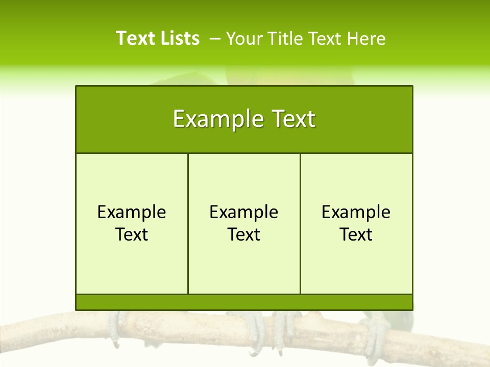 Female Elderly  PowerPoint Template