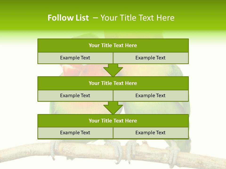 Female Elderly  PowerPoint Template