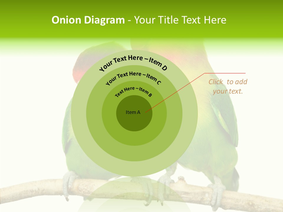 Female Elderly  PowerPoint Template