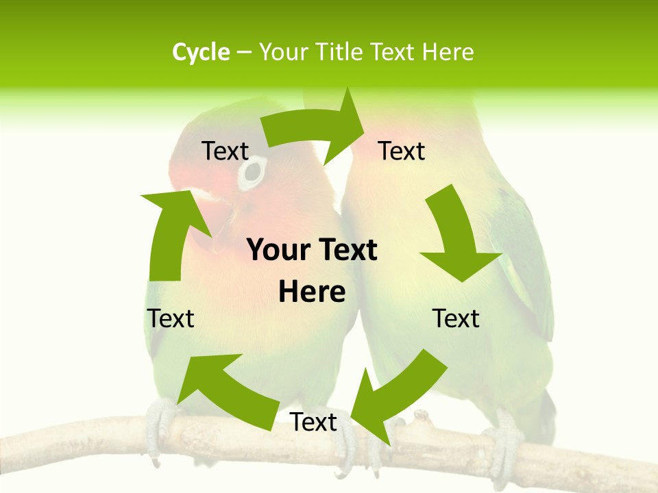 Female Elderly  PowerPoint Template