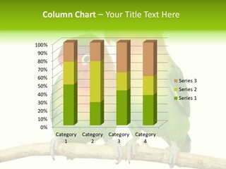 Female Elderly  PowerPoint Template