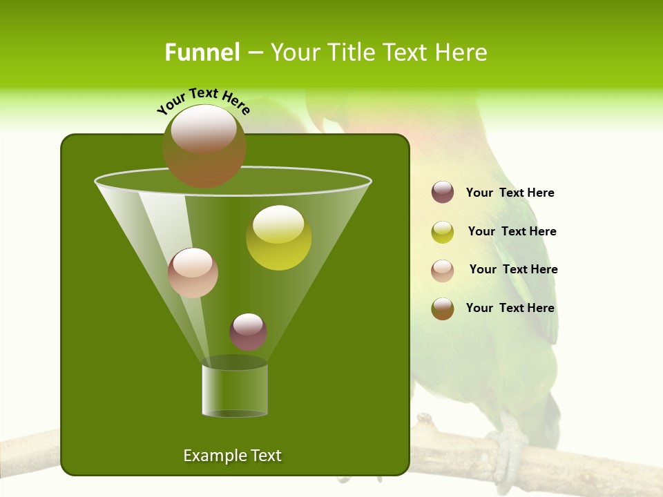 Female Elderly  PowerPoint Template