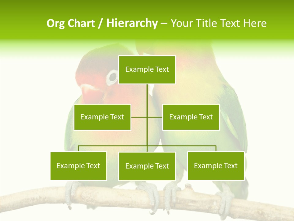 Female Elderly  PowerPoint Template