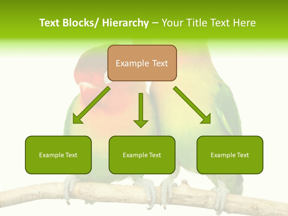 Female Elderly  PowerPoint Template