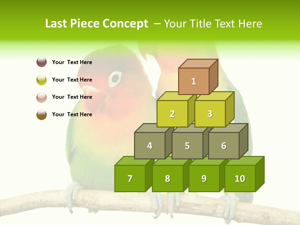 Female Elderly  PowerPoint Template