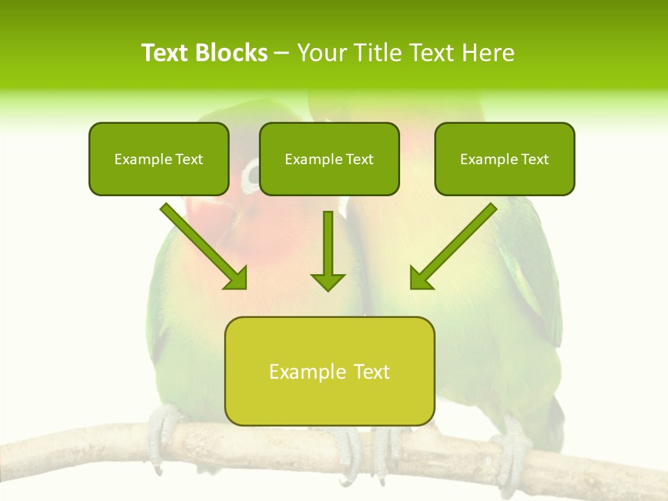 Female Elderly  PowerPoint Template